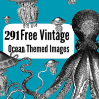 Ocean Clipart