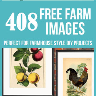 Best Farm Images